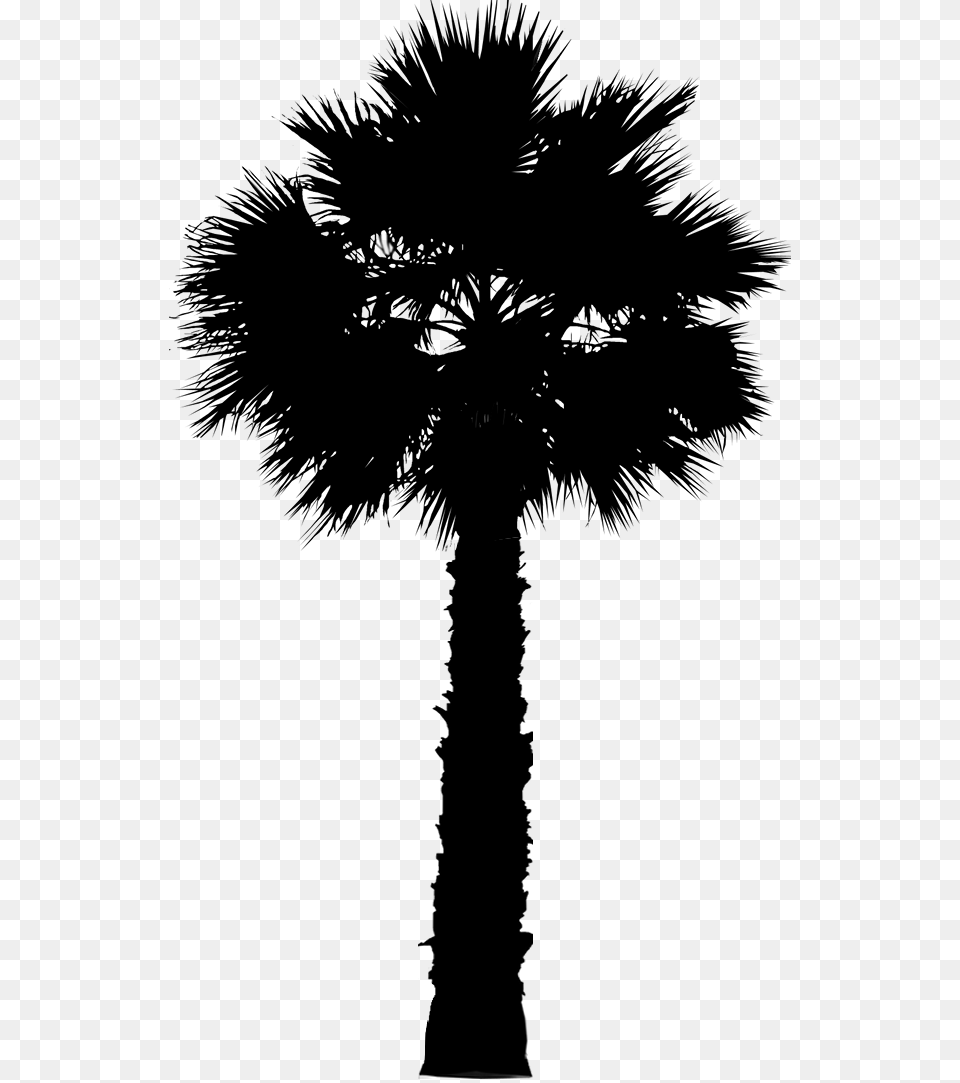 Asian Palmyra Palm Date Palm Leaf Palm Trees Silhouette Palm Trees, Gray Free Transparent Png