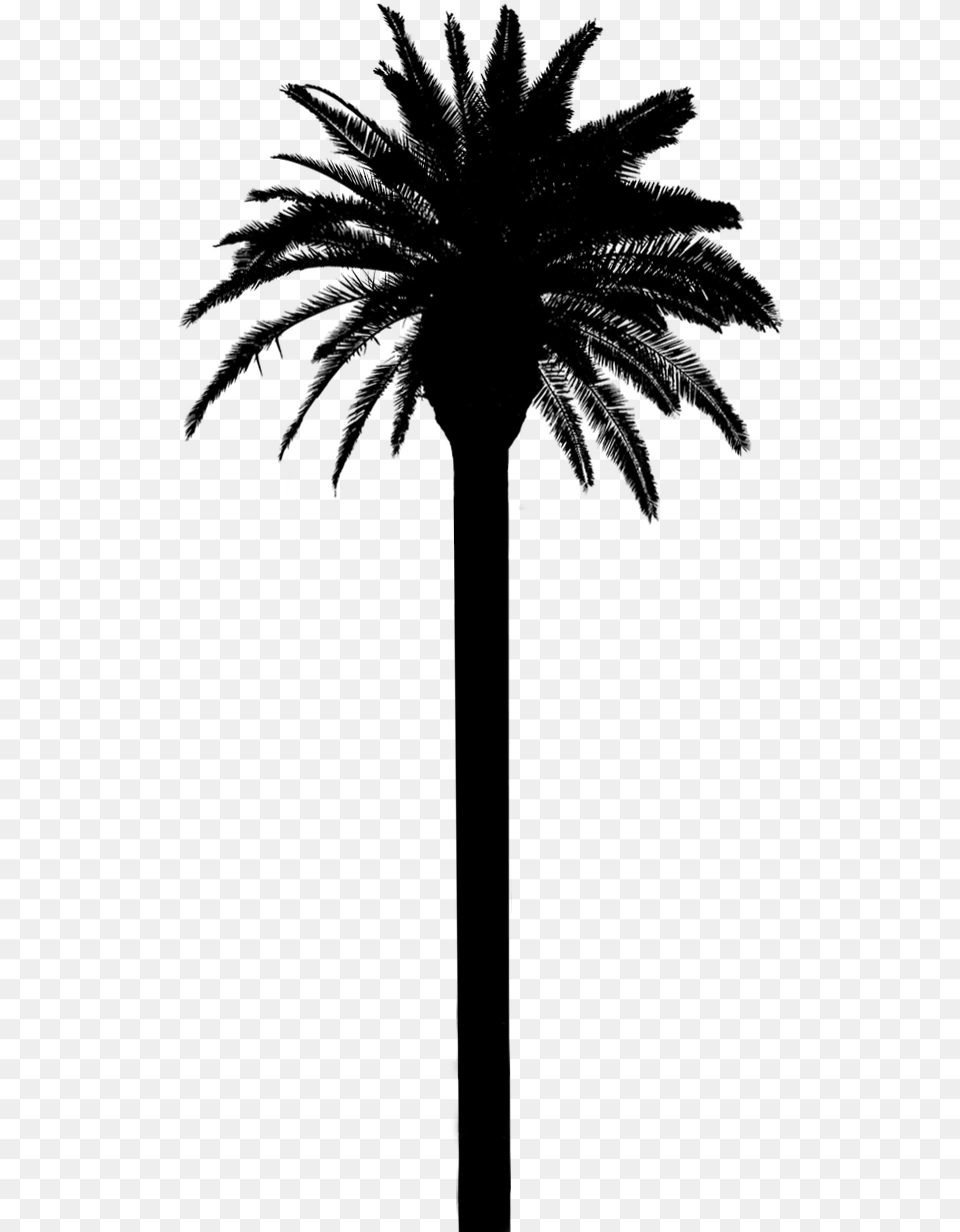 Asian Palmyra Palm Date Palm Palm Trees Silhouette Date Palm Silhouette, Gray Free Transparent Png