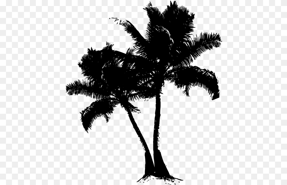 Asian Palmyra Palm Date Palm Silhouette Branching Borassus Borassus Flabellifer, Gray Png