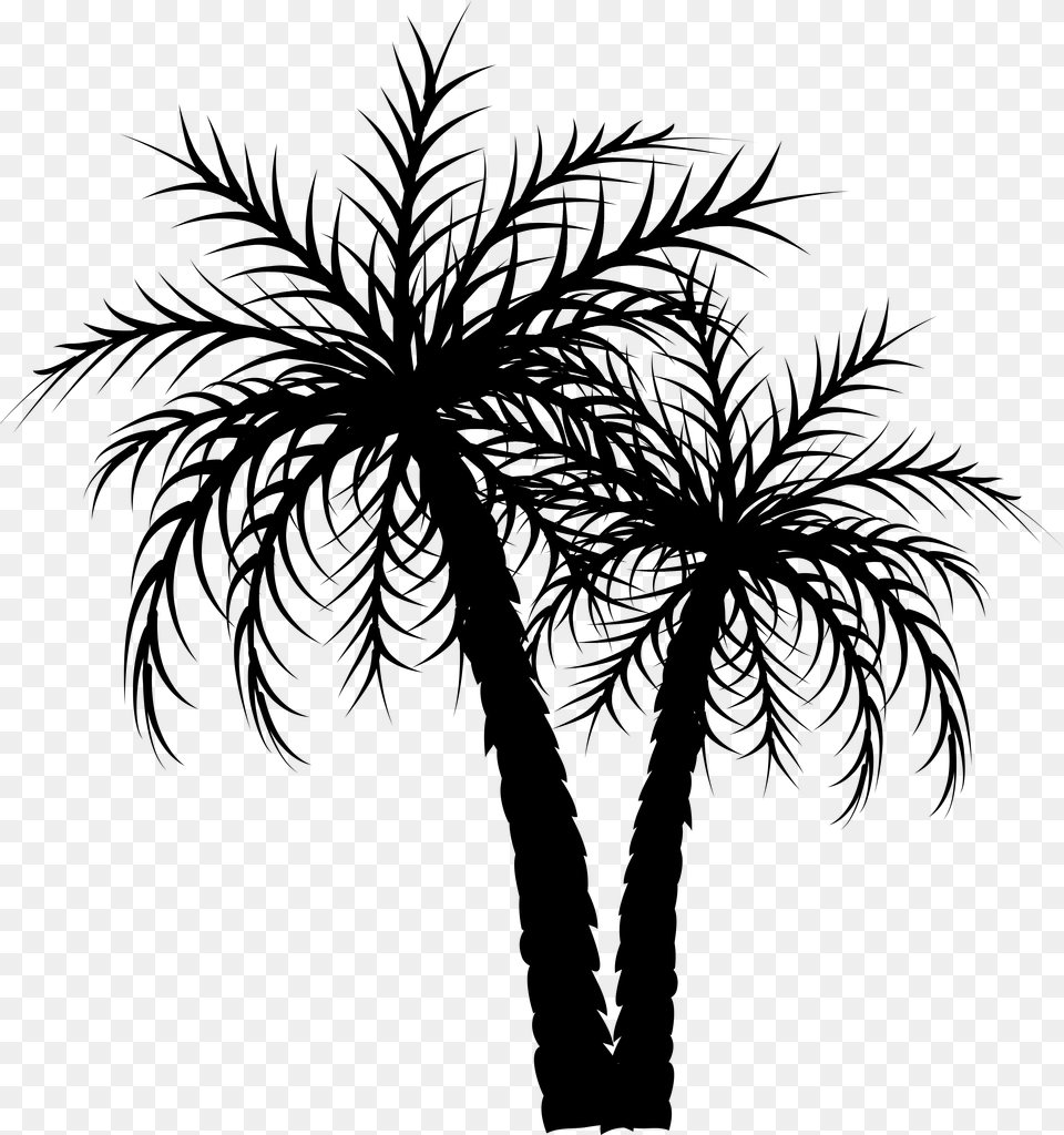 Asian Palmyra Palm Palm Trees Date Palm Coconut Image Palmyra Clipart, Gray Free Png