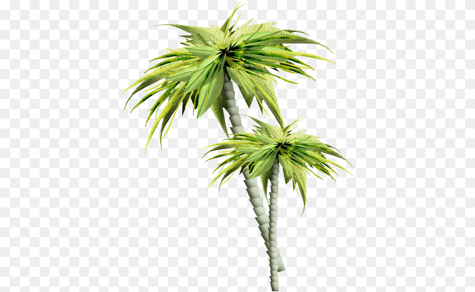 Asian Palmyra Palm Palm Trees Gif Portable Network 14 August Good Morning, Leaf, Palm Tree, Plant, Tree Free Transparent Png