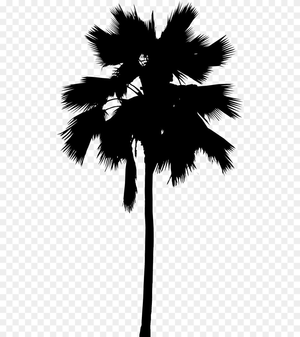 Asian Palmyra Palm Palm Trees Leaf Line Silhouette, Gray Free Png