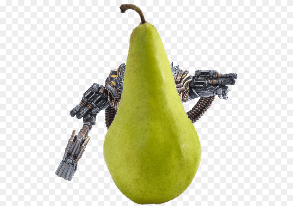 Asian Pear, Food, Fruit, Plant, Produce Png Image