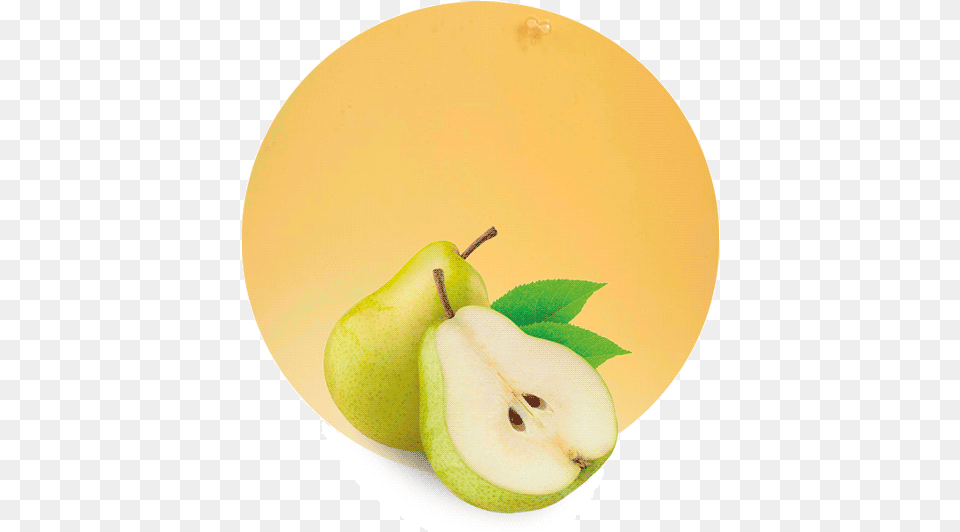 Asian Pear, Food, Fruit, Plant, Produce Free Transparent Png