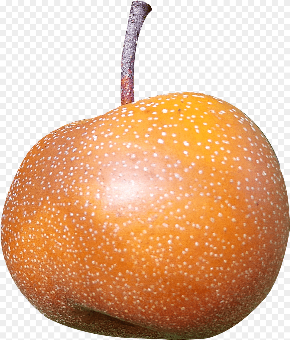 Asian Pear Asian Pear, Food, Fruit, Plant, Produce Png Image