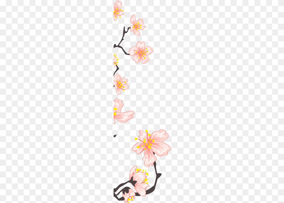 Asian Sakura Illustration, Flower, Petal, Plant, Anther Free Png Download