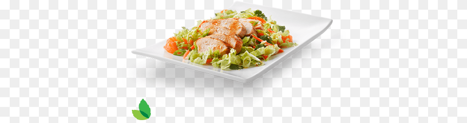 Asian Sesame Ginger Chicken Salad Recipe Serveware, Food, Food Presentation, Lunch, Meal Free Png Download