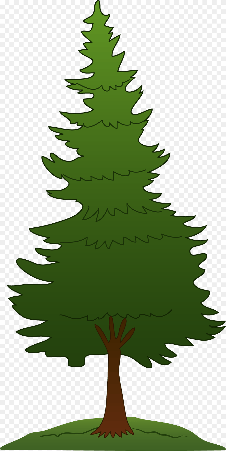 Asian Tree Cliparts, Fir, Plant, Pine, Green Png Image