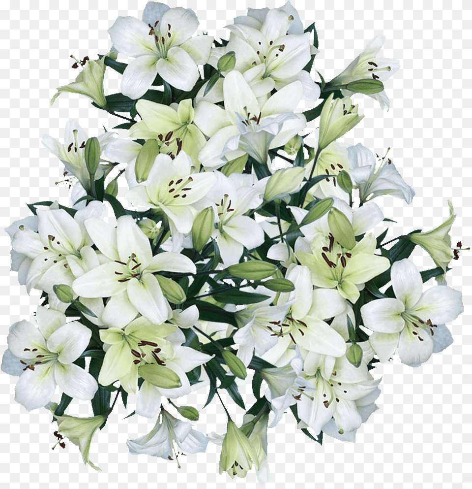 Asiatic Lilies White Flowers Shipping Bouquet, Flower, Plant, Flower Arrangement, Flower Bouquet Free Transparent Png