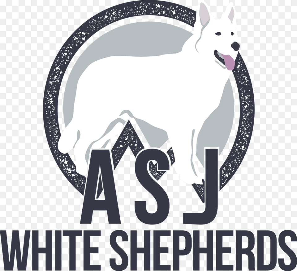 Asj White Shepherds In Middletown Ct Asj White Shepherds, Animal, Canine, Dog, Mammal Png