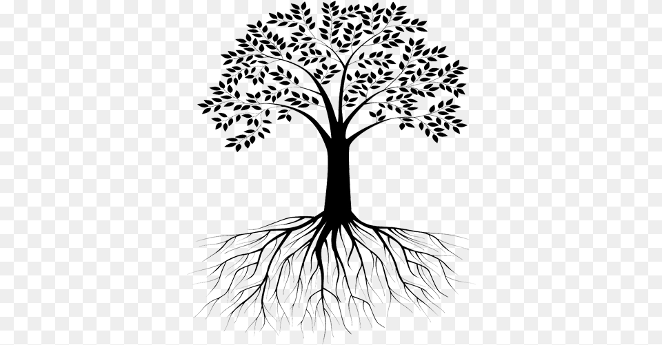 Ask Archive Menu Jaden Smith Tree With Roots Silhouette, Art, Plant, Root, Drawing Free Transparent Png