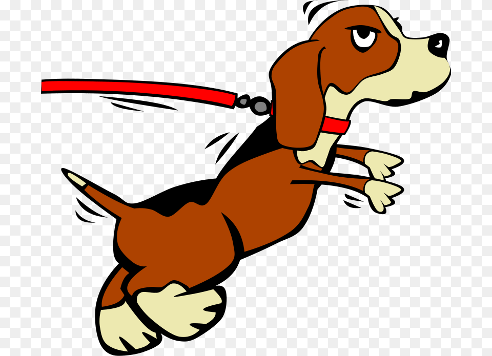 Ask Kathy About Leashes Dog On A Leash Cartoon, Animal, Pet, Canine, Mammal Png