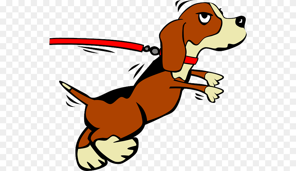 Ask Kathy Archives, Hound, Animal, Pet, Canine Free Transparent Png