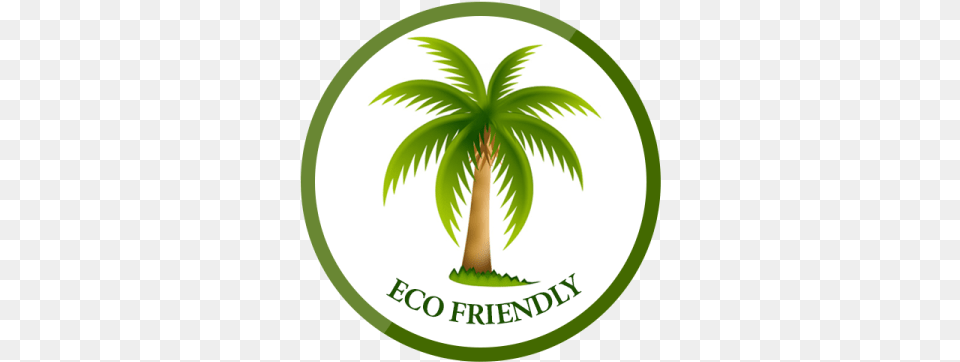 Ask Us About Eco Friendly Cleaning Services In Dubai Destination Wedding Welcome Letter And Timeline, Palm Tree, Plant, Tree, Vegetation Png Image