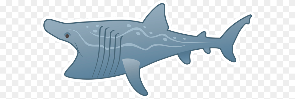 Ask Your Mum Or Dad To Take You On A Real Adventure Shark, Animal, Fish, Sea Life Free Transparent Png