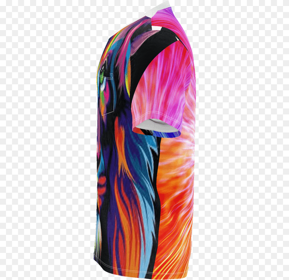 Aslan Chronicles Of Narnia Colors Garment Bag, Adult, Female, Person, Woman Png Image