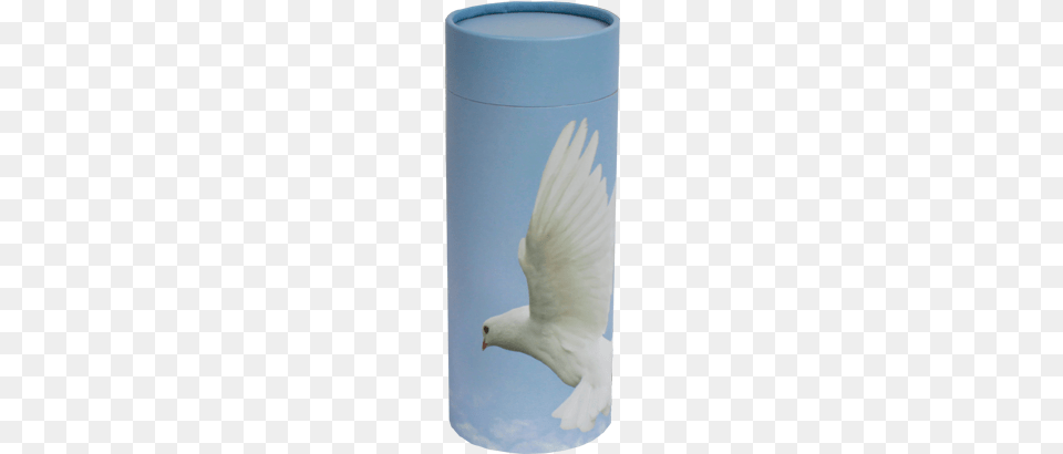 Asm Scattering Tube Ascending Dove, Animal, Bird, Pigeon Png