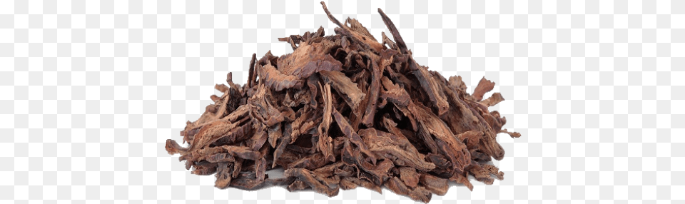 Asoka Jonesia Sm Ashoka Tree, Driftwood, Wood, Tobacco, Food Free Png