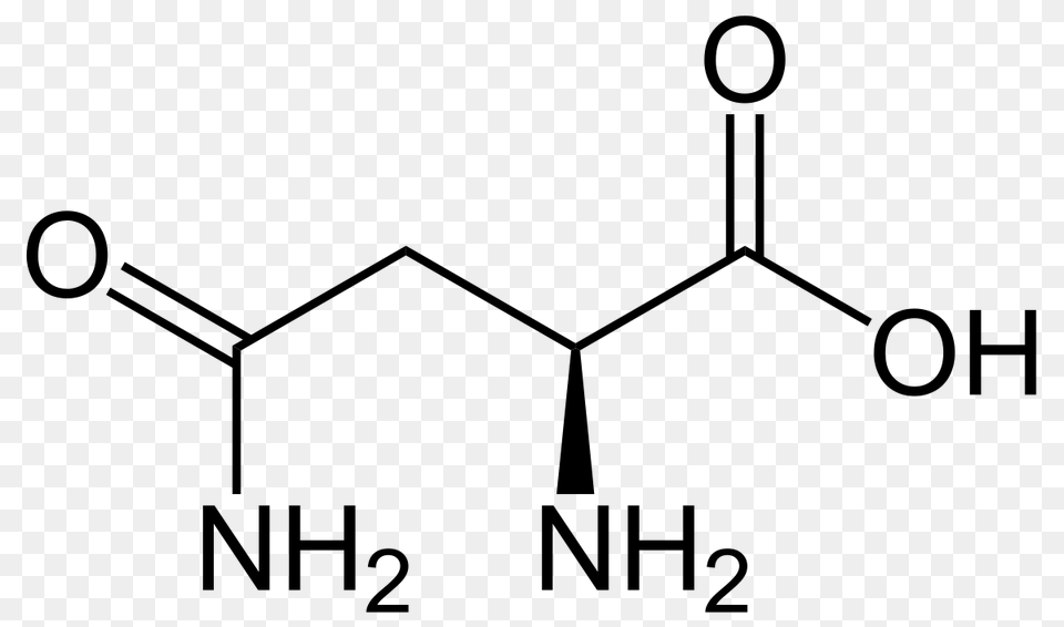 Asparagine, Gray Png Image