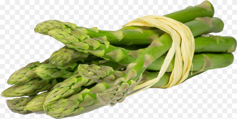Asparagus, Food, Produce, Plant, Vegetable Png Image