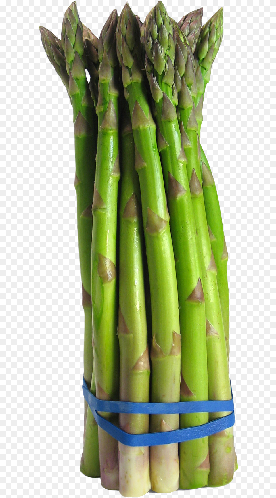 Asparagus, Food, Plant, Produce, Vegetable Free Png