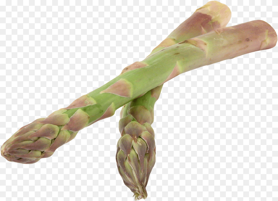 Asparagus, Food, Plant, Produce, Vegetable Free Png Download