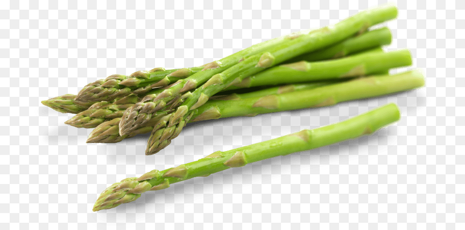 Asparagus, Food, Plant, Produce, Vegetable Free Png