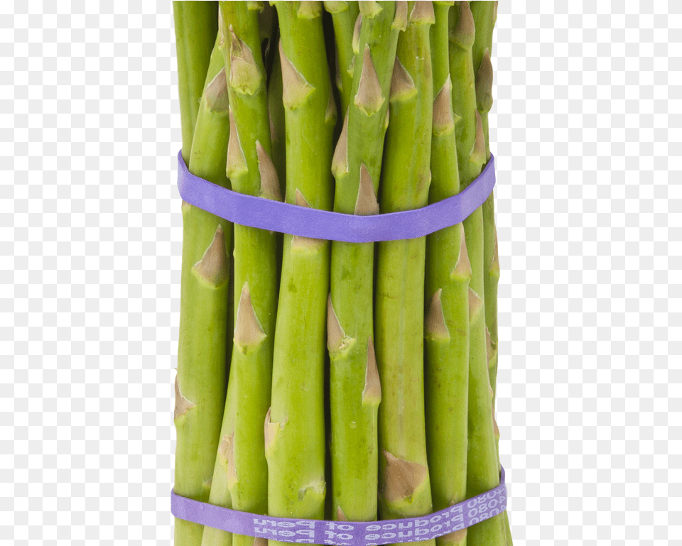 Asparagus, Food, Produce, Plant, Vegetable Free Transparent Png