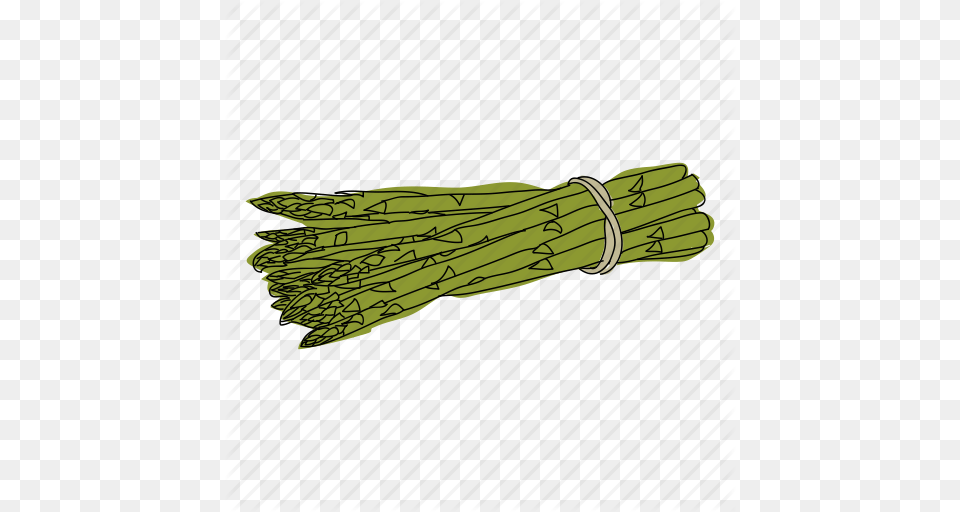 Asparagus Color Food Hand Drawn Health Vegetable Vegetarian Icon, Produce, Plant, Dynamite, Weapon Free Transparent Png