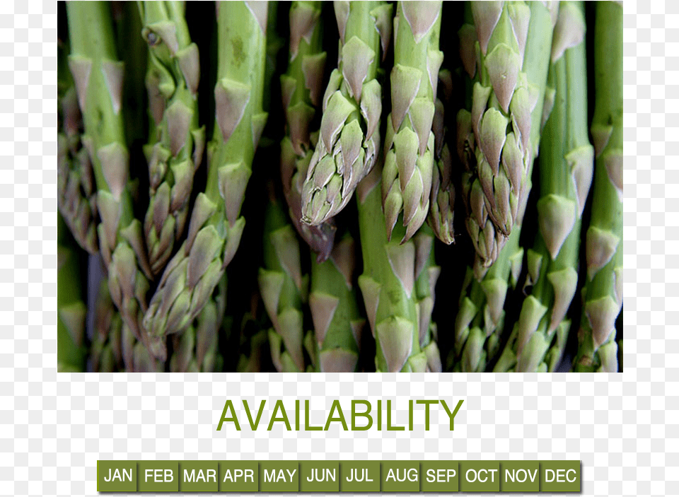 Asparagus Esparragos, Food, Plant, Produce, Vegetable Free Png Download