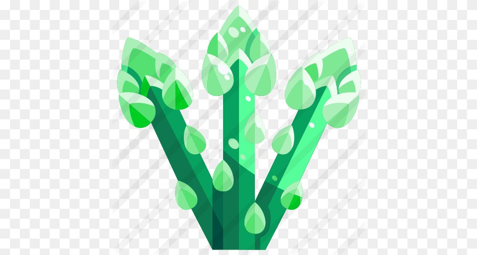 Asparagus Illustration, Accessories, Jewelry, Green, Gemstone Free Png