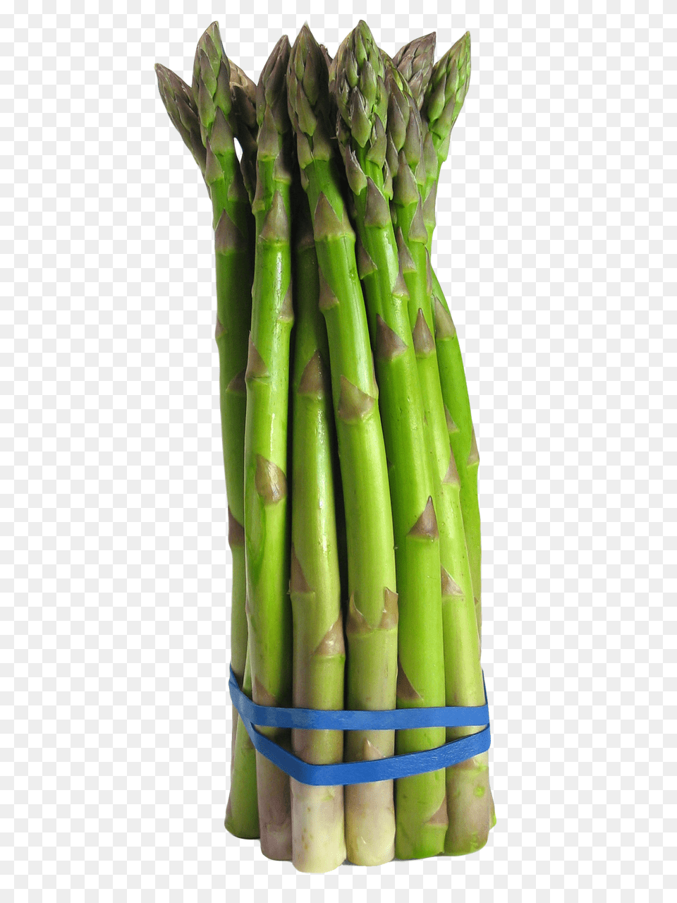Asparagus Food, Plant, Produce, Vegetable Png Image