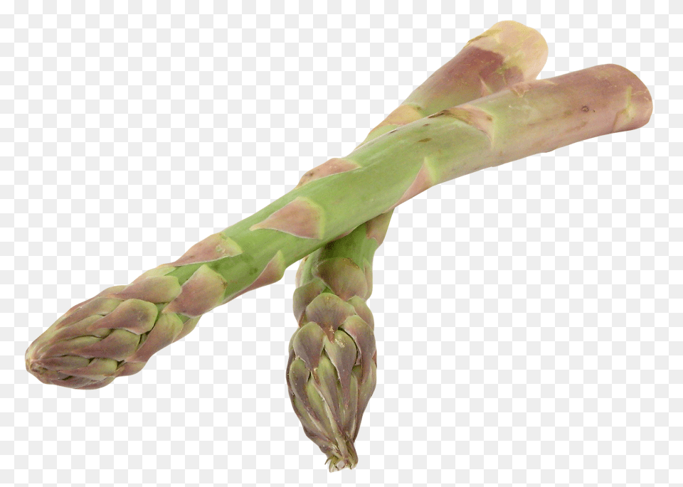 Asparagus Image1, Food, Plant, Produce, Vegetable Png