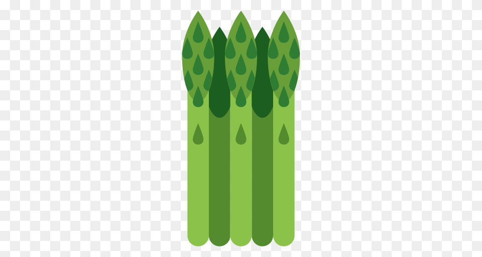 Asparagus Multicolor Fill Icon With And Vector Format, Food, Plant, Produce, Vegetable Png Image
