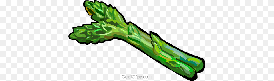 Asparagus Royalty Vector Clip Art Illustration Asparagus Clipart, Food, Produce, Plant, Vegetable Free Png