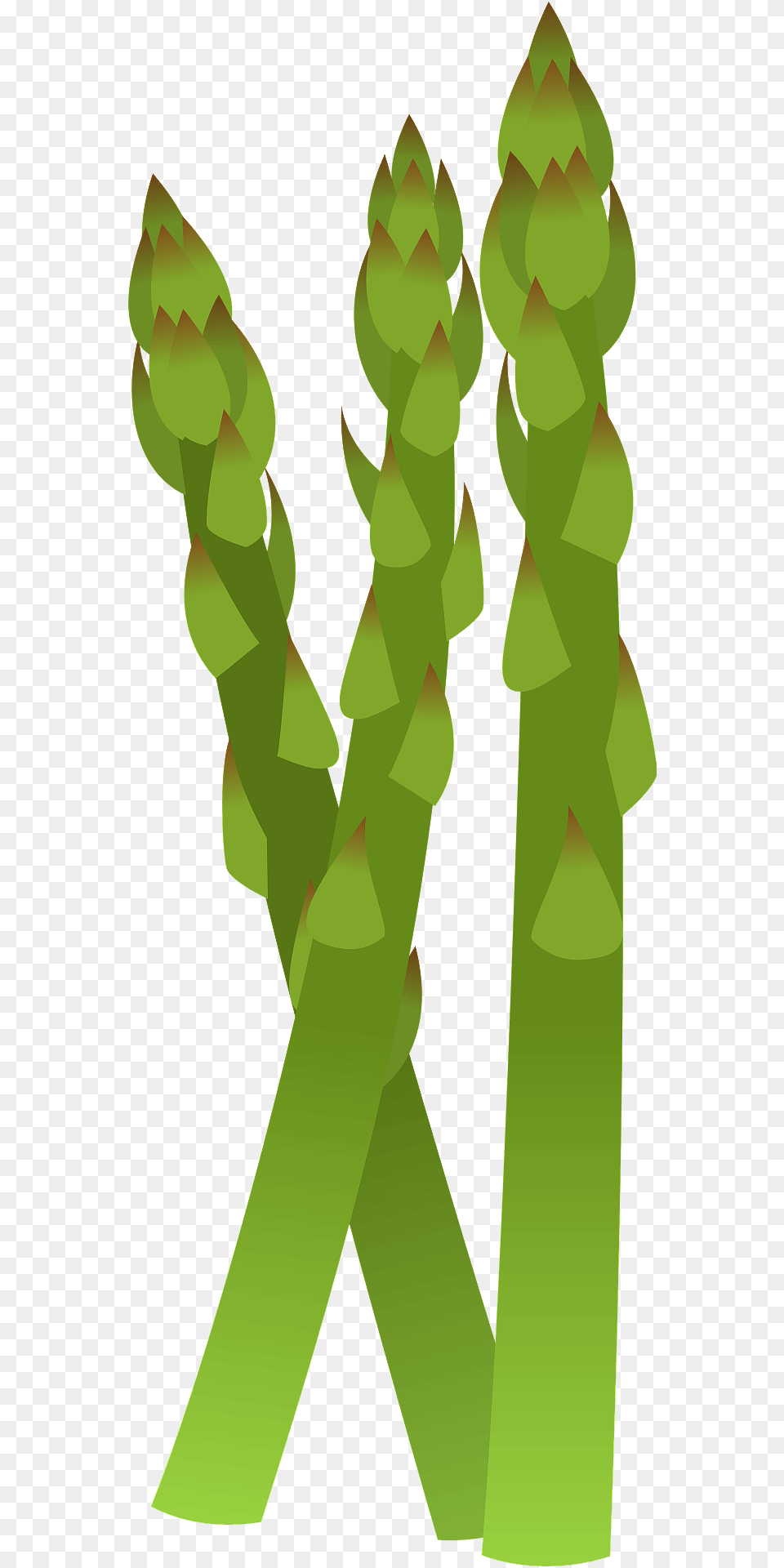 Asparagus Stalks Clipart, Food, Plant, Produce, Vegetable Png Image