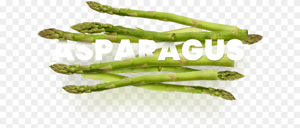 Asparagus Terra Exports Asparagus, Food, Plant, Produce, Vegetable Free Png