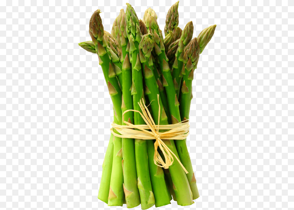 Asparagus Transparent Background Asparagus, Food, Plant, Produce, Vegetable Free Png