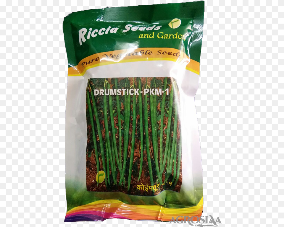 Asparagus Welsh Onion, Plant, Food, Produce, Vegetable Free Transparent Png