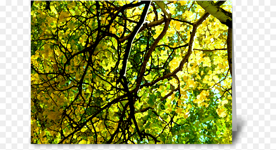 Aspen Gold Greeting Card Stained Glass, Woodland, Vegetation, Tree Trunk, Tree Png Image