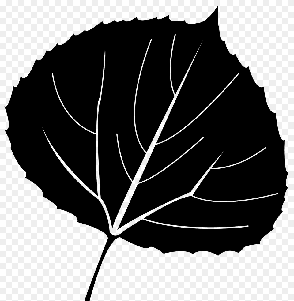 Aspen Leaf Silhouette, Plant, Maple Leaf, Oak, Sycamore Free Png Download