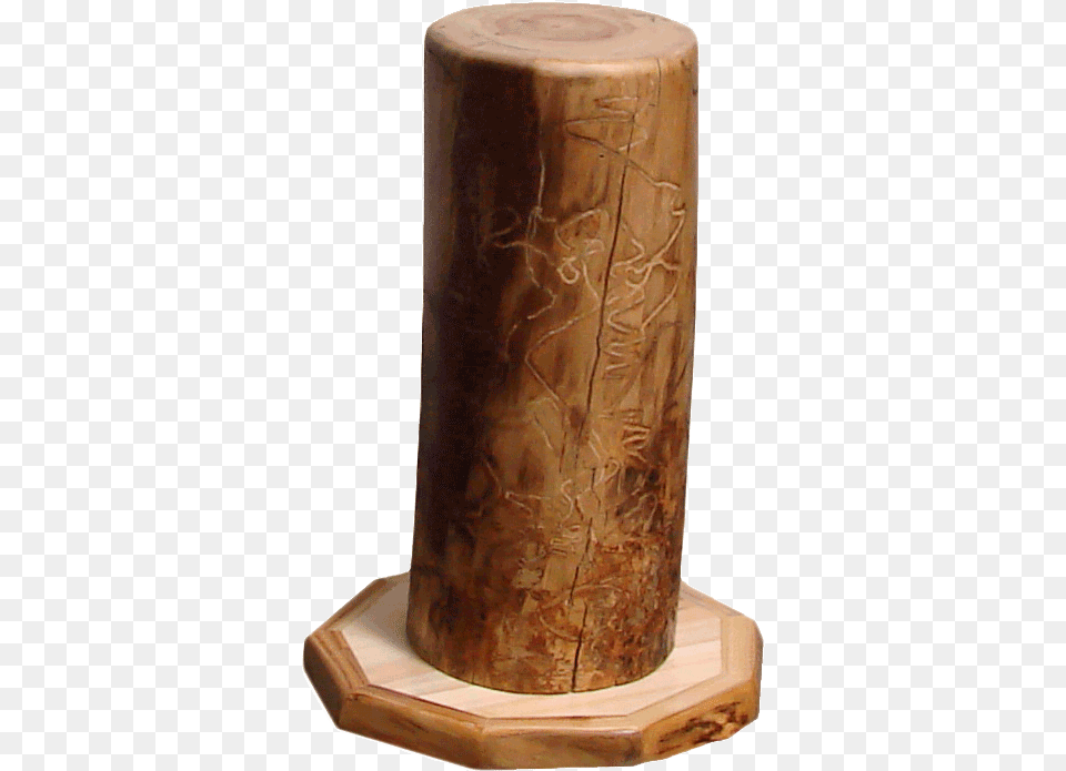 Aspen Natural Stump Stand Plywood, Plant, Tree, Wood, Can Png Image