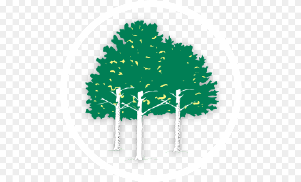 Aspen Ridge Golf Course Golf, Vegetation, Green, Tree, Plant Free Png Download