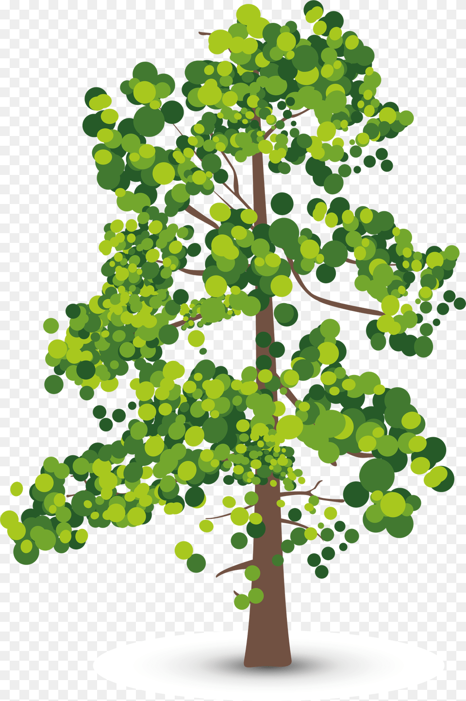 Aspen Tree Creative Perspective Olive Leaf Shadow Clipart Lidar Number Of Returns, Green, Plant, Oak, Sycamore Png Image