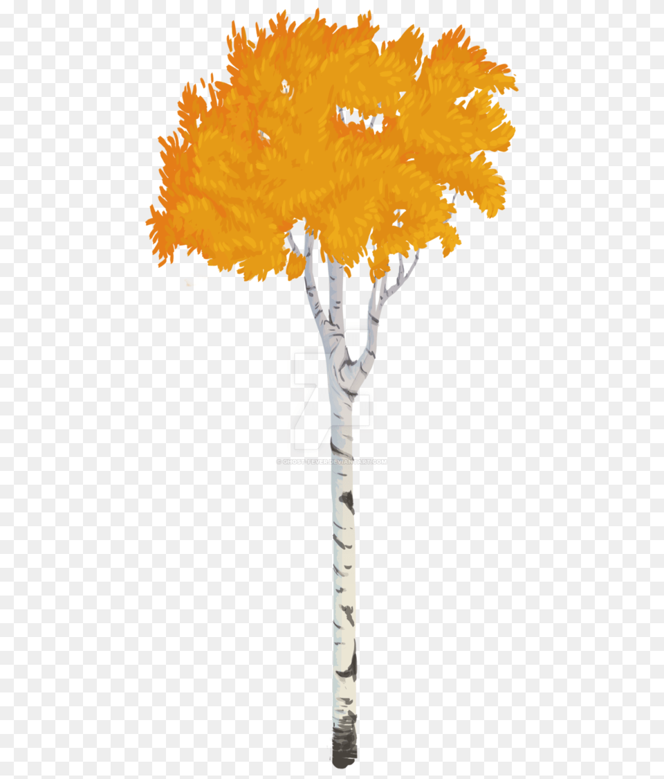 Aspen Tree Vector Style, Maple, Plant, Tree Trunk, Leaf Png