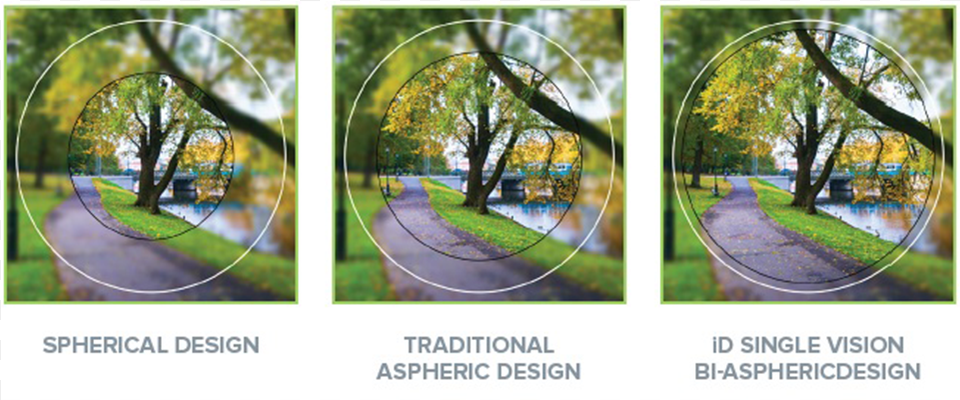 Aspheric Lens, Woodland, Vegetation, Tree, Scenery Free Png