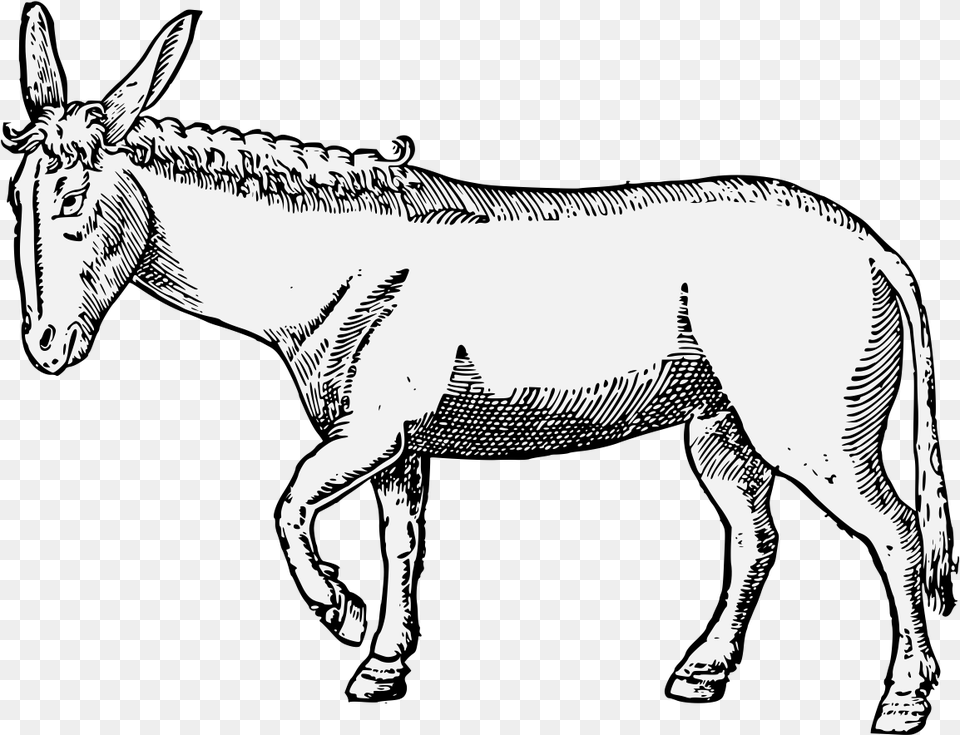 Ass Traceable Heraldic Art Mane, Animal, Donkey, Mammal, Wildlife Free Transparent Png