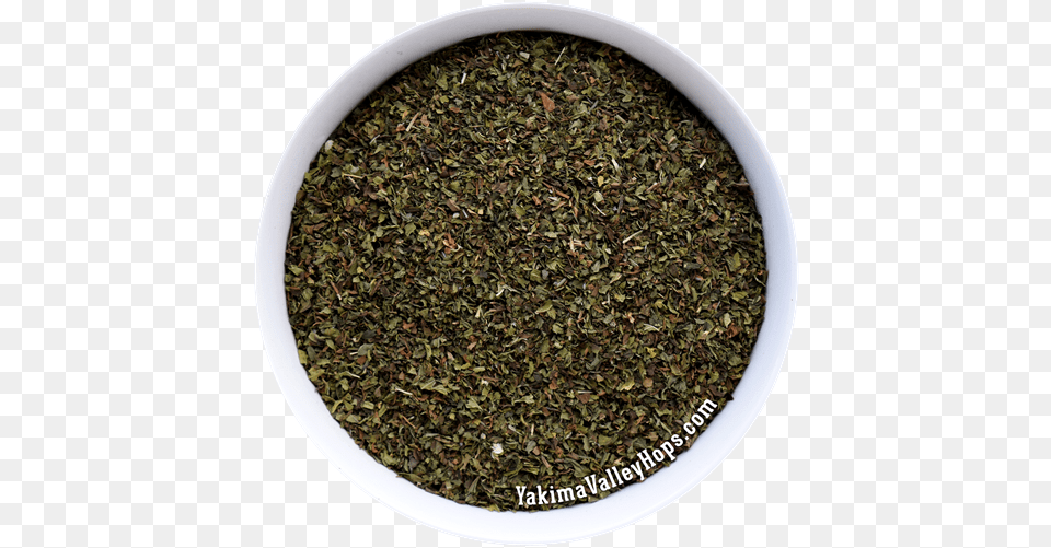 Assam Tea, Plant, Herbal, Herbs, Food Png Image