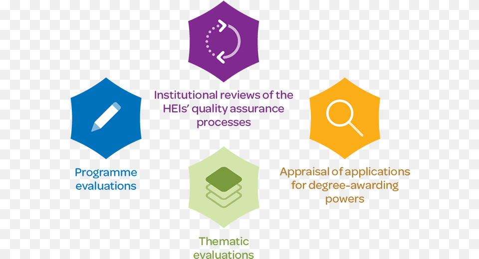 Assessment Areas, People, Person Free Transparent Png