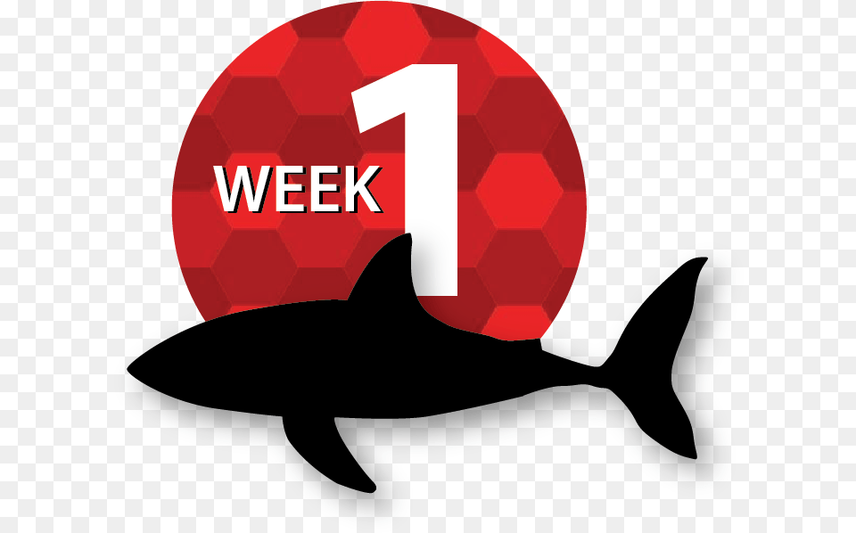 Asset 92x Killer Whale, Ball, Sport, Soccer Ball, Soccer Png Image